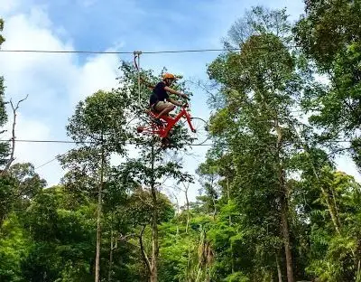 Batam Forest Top